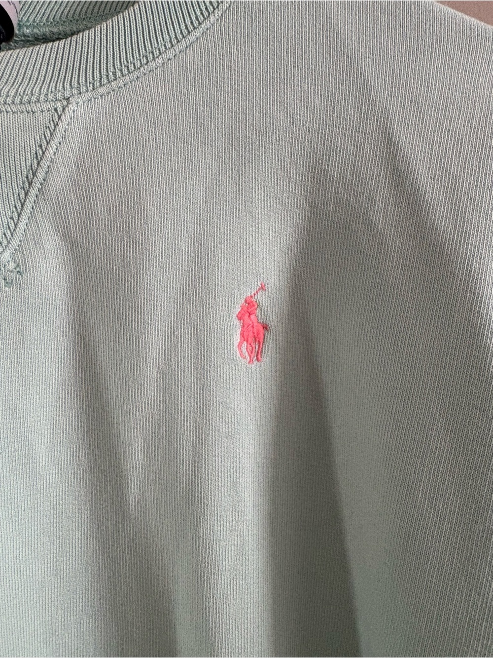 Polo by Ralph Lauren Pony Crewneck